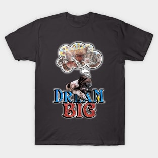 Dream Big T-Shirt